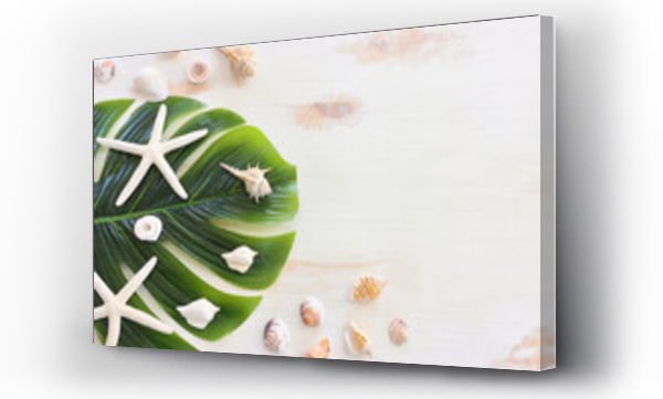 Wizualizacja Obrazu : #439987034 nautical concept with monstera leaf, seashells over white wooden background