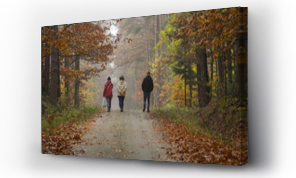 jesień, Las jesień, ludzie