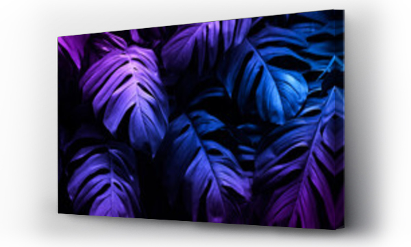 Wizualizacja Obrazu : #440957816 Neonowy baner tropikalny Monstera leaf