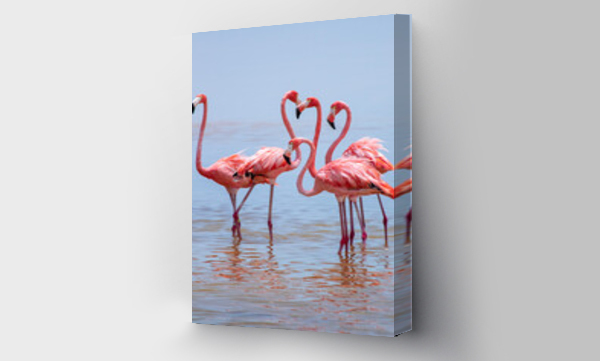 Wizualizacja Obrazu : #441011062 pink flamingo in the water