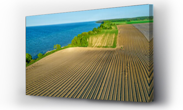 Wizualizacja Obrazu : #441429237 Morze Bałtyckie - piękne polskie wybrzeże.