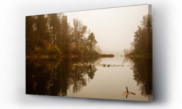 Wizualizacja Obrazu : #442142062 Spokojny mglisty poranek nad jeziorem. 