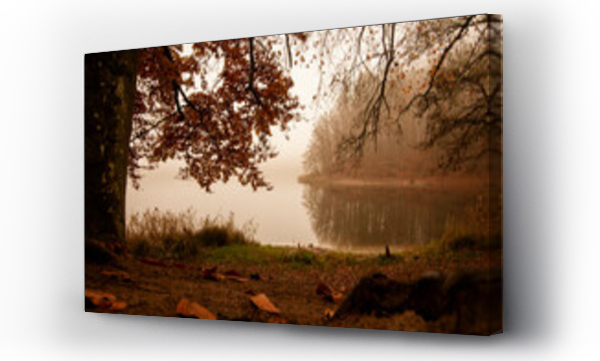 Wizualizacja Obrazu : #442142123 Jesienny krajobraz, jezioro w ?rodku kolorowego lasu. 