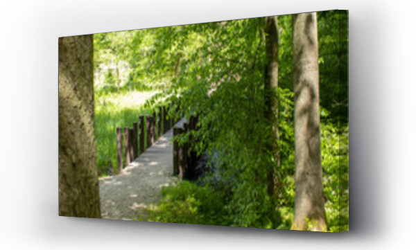 drzewa, Liście, poznan