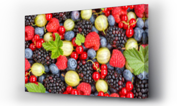 Wizualizacja Obrazu : #444219966 Jagody owoce jagody owoce truskawki truskawki jagody borówki borówki tło panorama