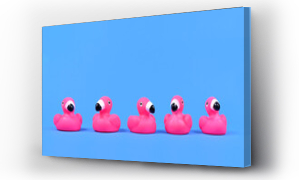 Wizualizacja Obrazu : #444882235 Pink rubber duck flamingos in a row on blue background with copy space