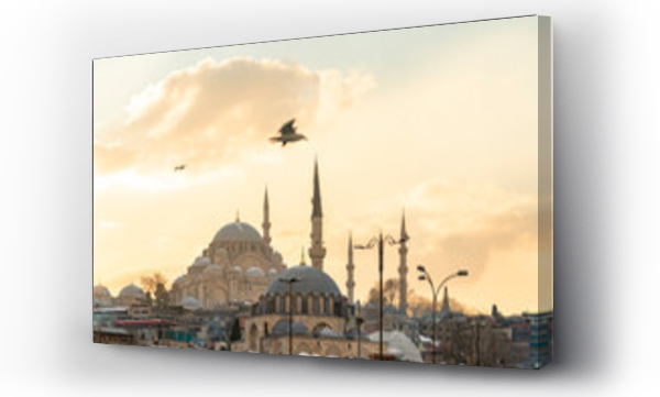 Wizualizacja Obrazu : #445428232 Turkey, Istanbul, Seagull flying over Yeni Cami mosque at dusk