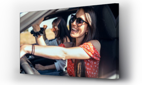 Wizualizacja Obrazu : #446689853 Pretty young women singing while driving a car on road trip on beautiful summer day.
