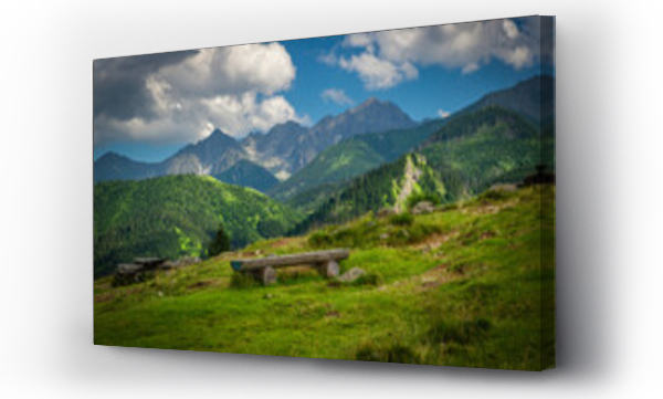 Wizualizacja Obrazu : #449261707 Rusinowa Polana - Tatry, Polska