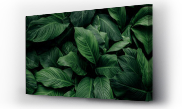 abstract green leaf textu, abstrakcyjne, las, Liście, natura