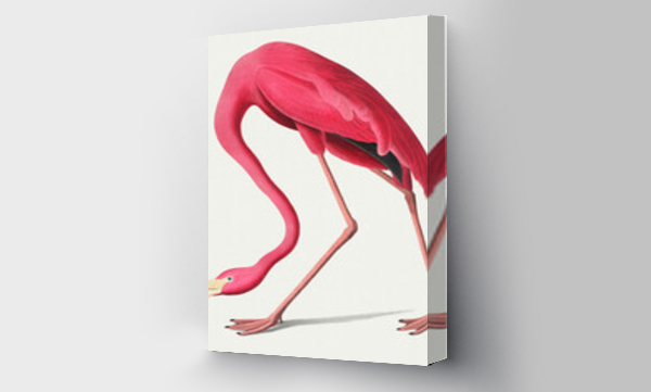 Wizualizacja Obrazu : #451519197 Vintage Illustration of Pink Flamingo