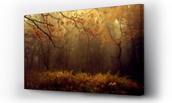 Wizualizacja Obrazu : #451684456 Mg?a w lesie, jesienny krajobraz