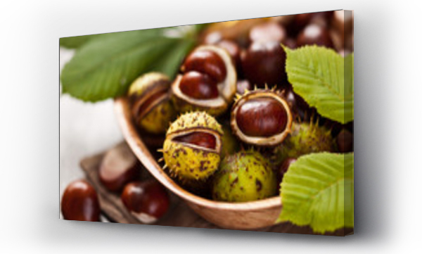 buckeye, drzewo, Liście