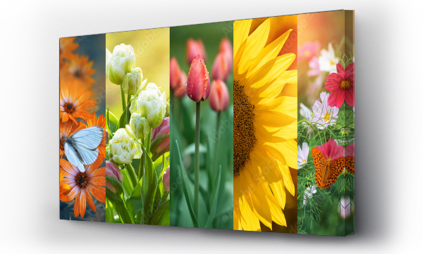 Wizualizacja Obrazu : #452005772 kwiaty, kola?, kolory natury