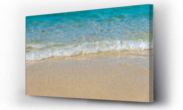 morze, plaża, włochy drzewa