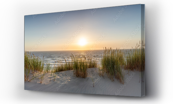 Wizualizacja Obrazu : #455567300 Dune beach panorama at sunset