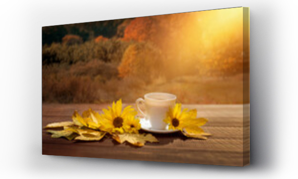 kubek, Kwiaty, las kwiaty, słoneczniki, łąka, Łąka kwiaty