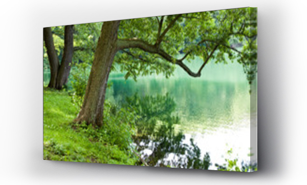 Wizualizacja Obrazu : #45947173 Jezioro w lesie