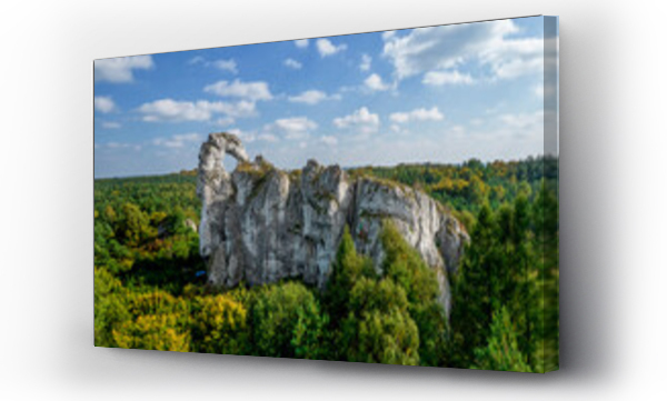 Okiennik wielki, pejzaż