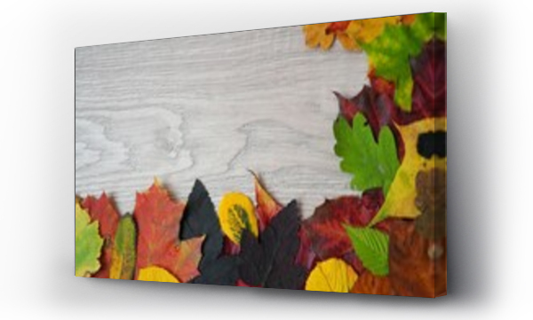 Wizualizacja Obrazu : #461018457 Jesienne barwy w li?ciach i drzewach