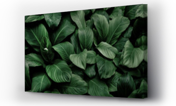 Wizualizacja Obrazu : #462027135 abstract green leaf texture, nature background, tropical leaf

