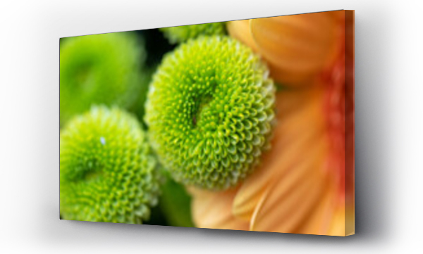 Wizualizacja Obrazu : #462181668 Urodzinowe kwiaty