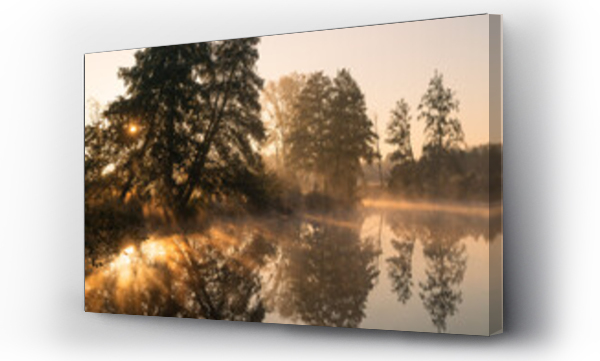 biała mgła, pejzaż, ZGIERZ