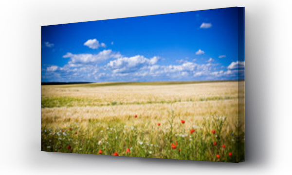 pejzaż, Pejzaż wiejski, pole piwo