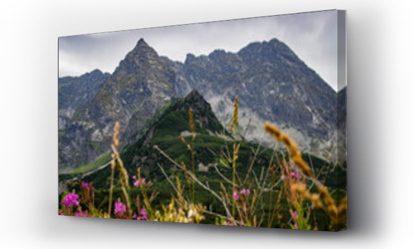 góry, Hala gasienicowa, kościelec, Polskie góry