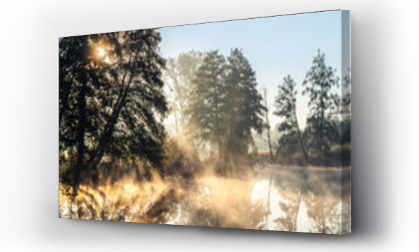 biała mgła, drzewa, drzewo, pejzaż, ZGIERZ