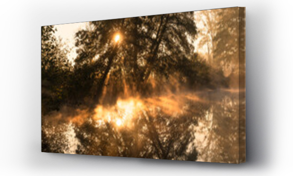 drzewo, pejzaż, ZGIERZ