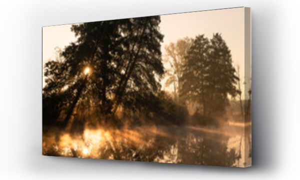 Wizualizacja Obrazu : #462968101 Drzewa nad rzek?, ?wiat?o we mgle, rzeka Czerniawka, Staw w Bia?ej, gmina Zgierz