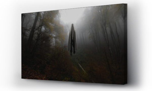 Wizualizacja Obrazu : #463747605 Ghost in the middle of the forest