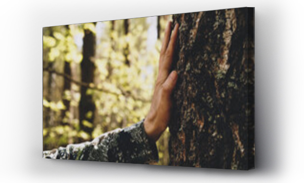 Wizualizacja Obrazu : #465913747 Hand touch the tree trunk. Man hand touches a pine tree trunk, close-up. Human hand touches a tree trunk. Bark wood. Wild forest travel. Ecology - a energy forest nature concept..