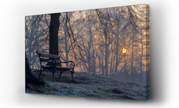 ptaki, zwierzęta, ławka