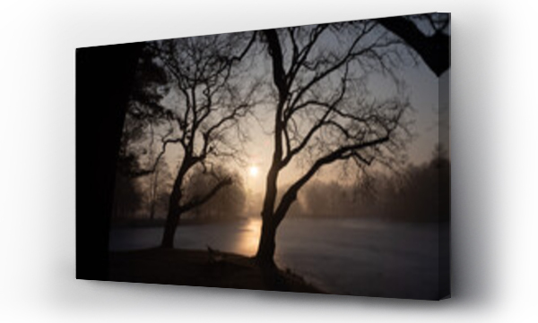 ptaki, Woda ptaki, zwierzęta