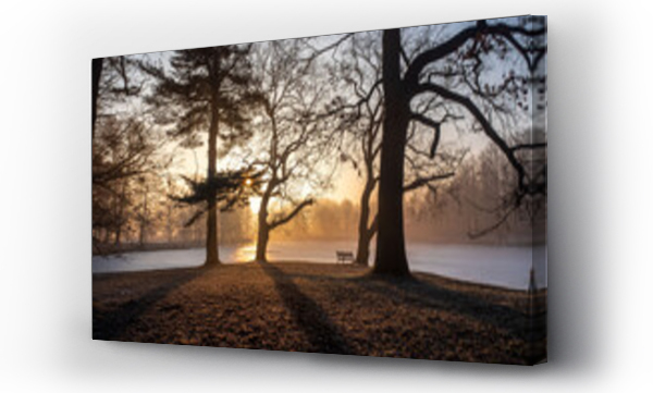 ptaki, zwierzęta, ławka