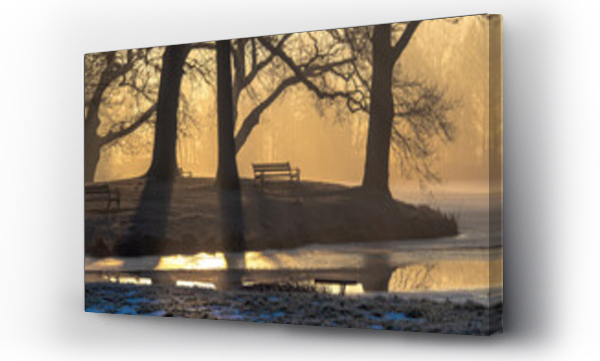 ptaki, zwierzęta, ławka