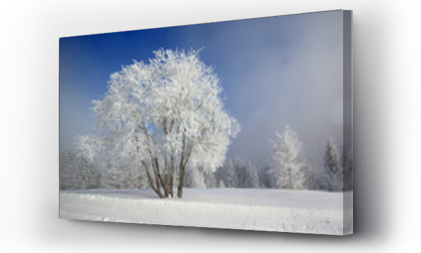 Wizualizacja Obrazu : #469160307 Zimowy krajobraz