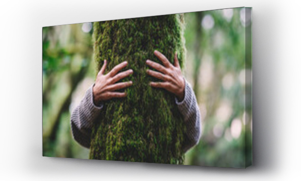 Wizualizacja Obrazu : #472064033 Nature lover hugging trunk tree with green musk in tropical woods forest. Green natural background. Concept of people love nature and protect from deforestation or pollution or climate change