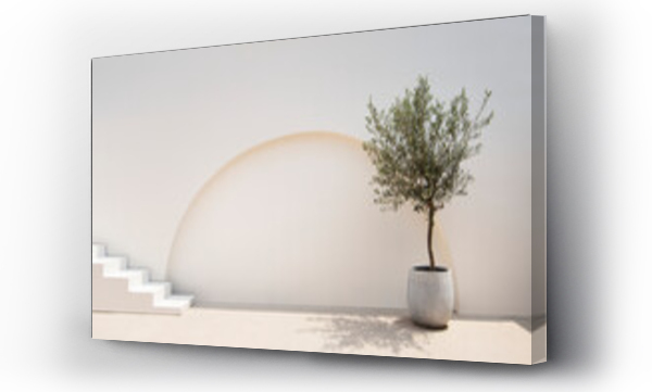 Architektura, Beige, olive tree