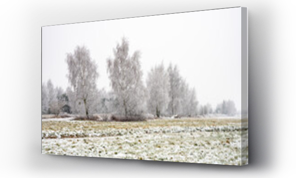 Wizualizacja Obrazu : #475342938 Zima, zimowy krajobraz, zimowe drzewa, oszronione drzewa, ?nieg, zimowe krajobrazy, ??ka zim?, Polska zim?, 