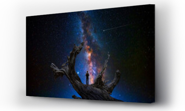 Wizualizacja Obrazu : #476914363 Man observes the universe on the dry trunk of a large tree