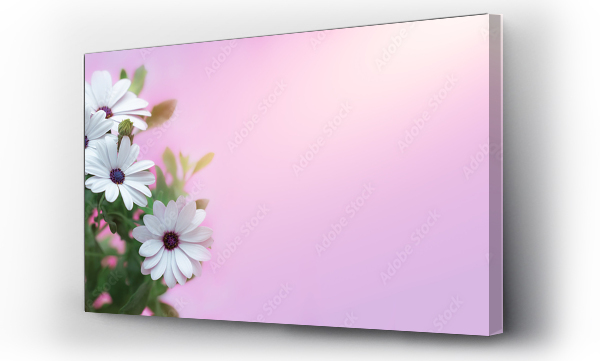 Kwiaty, Łąka kwiaty