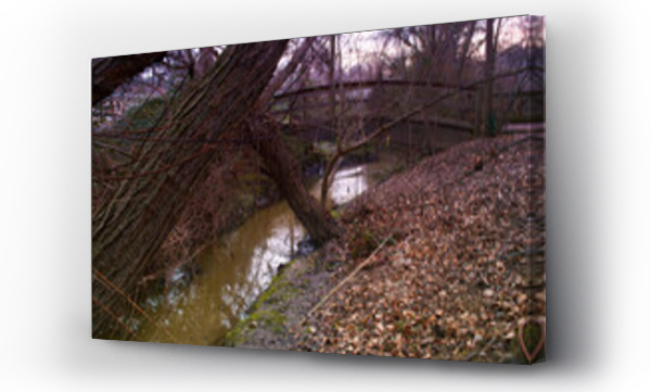 Wizualizacja Obrazu : #479819497 strumyk woda krajobraz drzewa li?cie 
