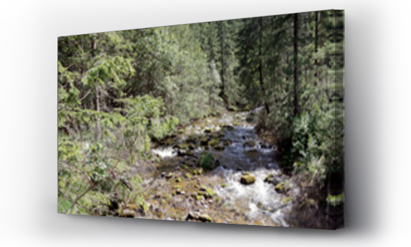 Krajobrazy, Polskie góry