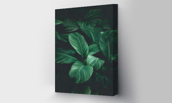 Wizualizacja Obrazu : #484192211 abstract green leaf texture, nature background, tropical leaf
