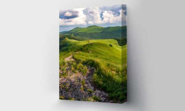 bieszczady, góry, góry karpaty, Krajobrazy, Połoniny, łąka