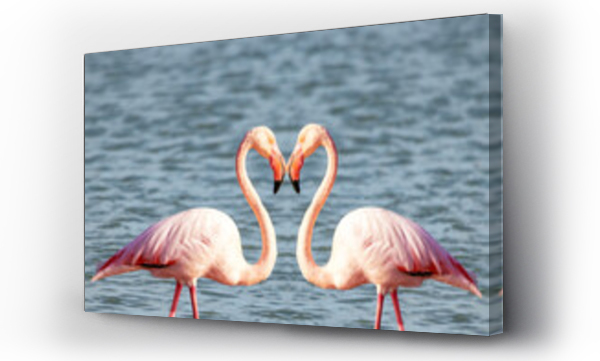 Wizualizacja Obrazu : #484491395 Two pink flamingos making a heart shape for valentines day