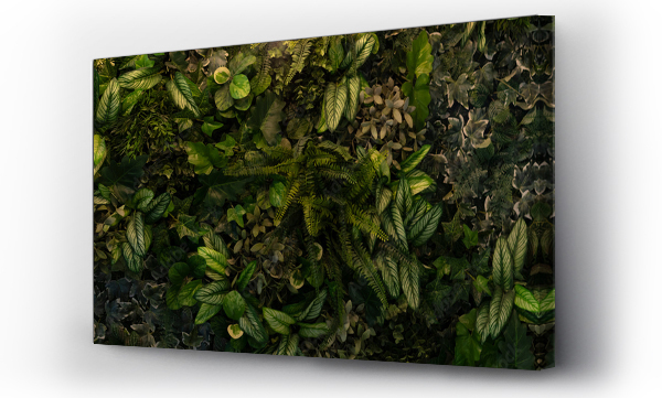 Wizualizacja Obrazu : #484633342 Creative nature green background, tropical leaf banner or floral jungle pattern concept.